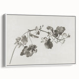 Black and White Botanical Art Prints: Elegant Nasturtium Wall Art