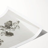 Black and White Botanical Art Prints: Elegant Nasturtium Wall Art