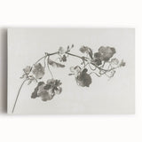Black and White Botanical Art Prints: Elegant Nasturtium Wall Art