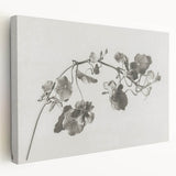 Black and White Botanical Art Prints: Elegant Nasturtium Wall Art