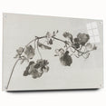Black and White Botanical Art Prints: Elegant Nasturtium Wall Art