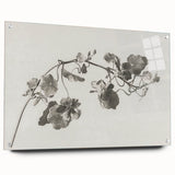 Black and White Botanical Art Prints: Elegant Nasturtium Wall Art