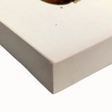 Botanical Art Print – Palquium Oblongifolium Plant Illustration