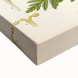 Vintage Botanical Art Print – Chrysanthemum Roseum Pink Flowers