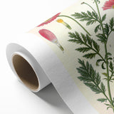 Vintage Botanical Art Print – Chrysanthemum Marschalii Red Flowers