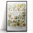 Vintage Botanical Art Print – Grapevine Illustrations and Leaves