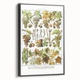 Vintage Botanical Art Print – Grapevine Illustrations and Leaves