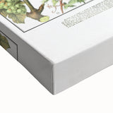 Vintage Botanical Art Print – Grapevine Illustrations and Leaves