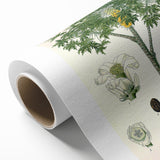 Vintage Botanical Art Print – Carica Papaya Tree with Fruit