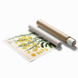 Vintage Botanical Art Print – Sarothamnus Scoparius Yellow Flowers