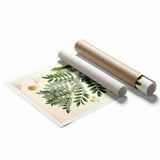 Vintage Botanical Art Print – Indigofera Anil with Green Leaves