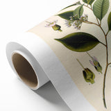 Vintage Botanical Art Print – Payena Leeri with Green Leaves