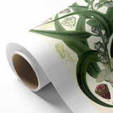 Vintage Botanical Art Print – Eucalyptus Globulus with Unique Flowers