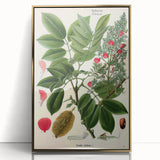 Vintage Botanical Art Print – Piscidia Erythrina with Red Flowers