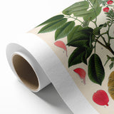 Vintage Botanical Art Print – Piscidia Erythrina with Red Flowers