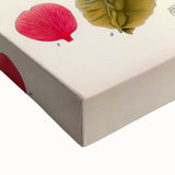 Vintage Botanical Art Print – Piscidia Erythrina with Red Flowers