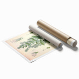 Vintage Botanical Illustration of Lobelia – Botanical Art Prints