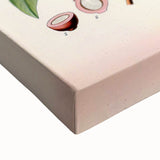 Vintage Botanical Art Print – Santalum Album with Red Flowers