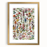 Vintage Botanical Art Print – Stunning Floral Collection