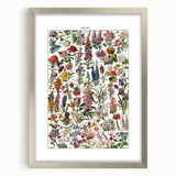 Vintage Botanical Art Print – Stunning Floral Collection