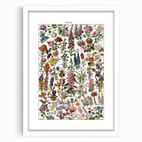 Vintage Botanical Art Print – Stunning Floral Collection