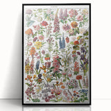 Vintage Botanical Art Print – Stunning Floral Collection