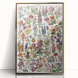 Vintage Botanical Art Print – Stunning Floral Collection