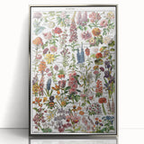 Vintage Botanical Art Print – Stunning Floral Collection