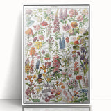 Vintage Botanical Art Print – Stunning Floral Collection