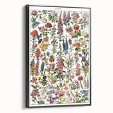 Vintage Botanical Art Print – Stunning Floral Collection
