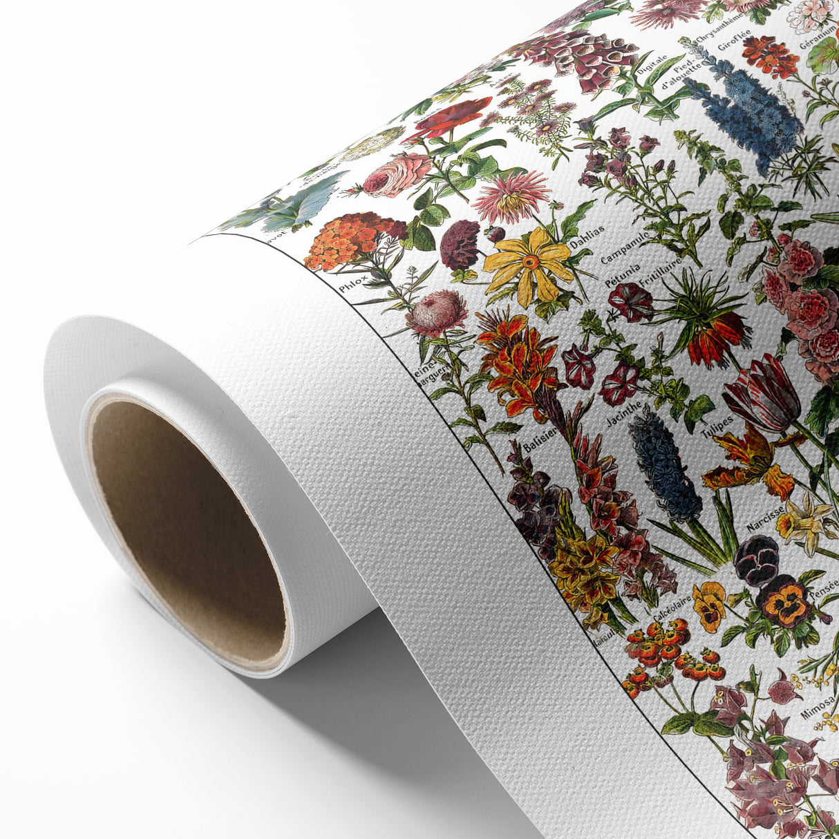 Vintage Botanical Art Print – Stunning Floral Collection