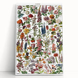 Vintage Botanical Art Print – Stunning Floral Collection