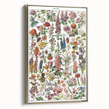 Vintage Botanical Art Print – Stunning Floral Collection