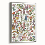 Vintage Botanical Art Print – Stunning Floral Collection