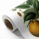 Vintage Botanical Art Print – Strychnos Ignatii with Green Leaves