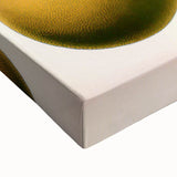 Vintage Botanical Art Print – Strychnos Ignatii with Green Leaves