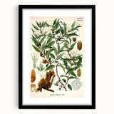 Botanical Art Prints – Vintage Botanical Illustration Art