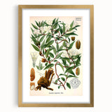 Botanical Art Prints – Vintage Botanical Illustration Art
