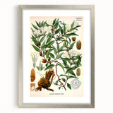 Botanical Art Prints – Vintage Botanical Illustration Art