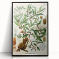 Botanical Art Prints – Vintage Botanical Illustration Art