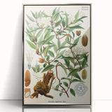Botanical Art Prints – Vintage Botanical Illustration Art