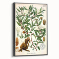 Botanical Art Prints – Vintage Botanical Illustration Art