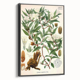 Botanical Art Prints – Vintage Botanical Illustration Art
