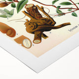 Botanical Art Prints – Vintage Botanical Illustration Art