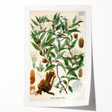 Botanical Art Prints – Vintage Botanical Illustration Art