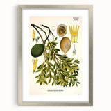 Botanical Art Prints – Vintage Botanical Illustration Art