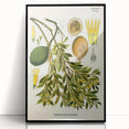 Botanical Art Prints – Vintage Botanical Illustration Art