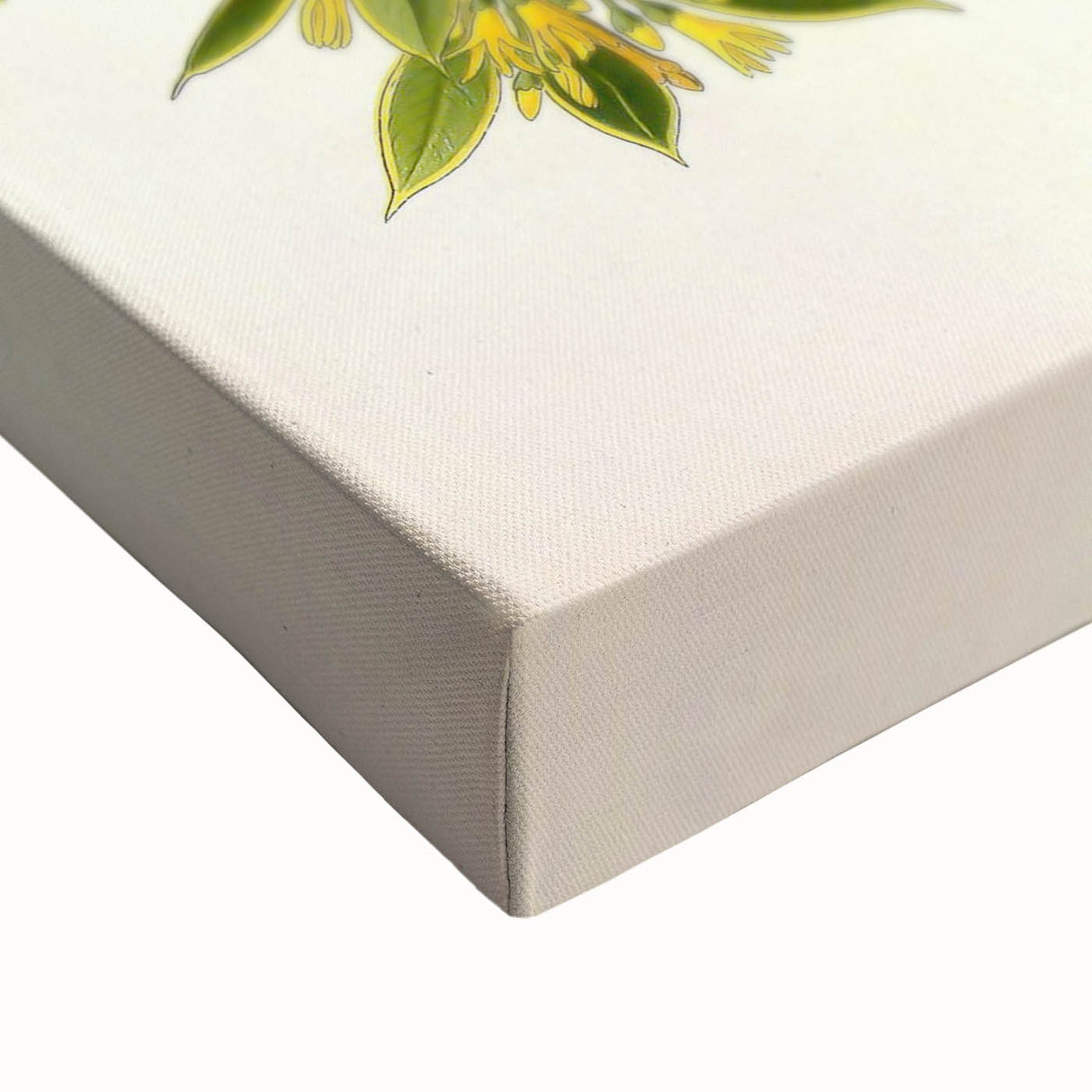 Botanical Art Prints – Vintage Botanical Illustration Art