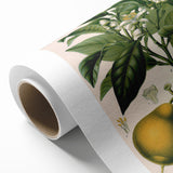 Botanical Art Prints – Vintage Botanical Illustration Art