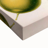 Botanical Art Prints – Vintage Botanical Illustration Art